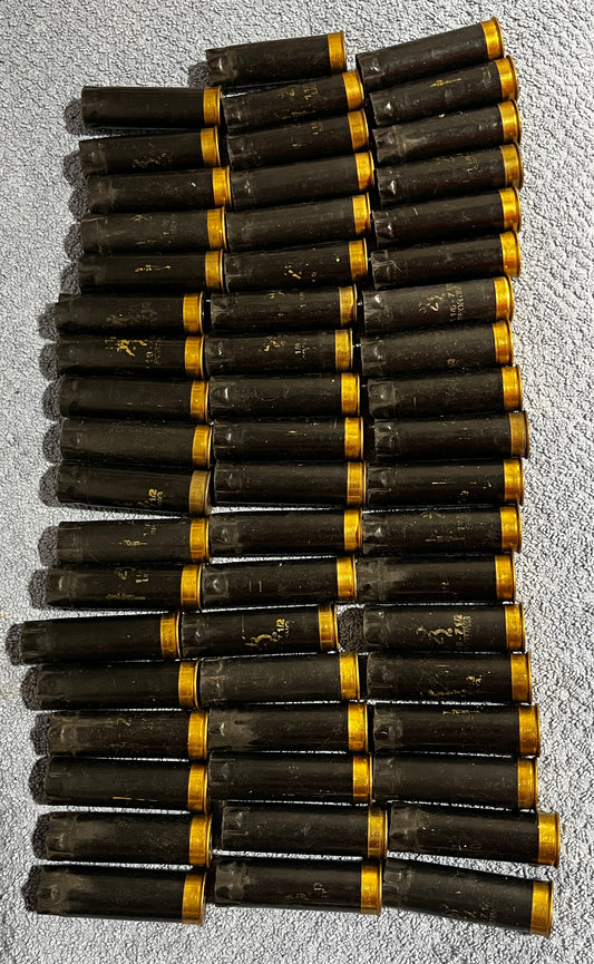 Rows of dark brass 12 gauge shotgun shell hulls with gold bands, lying on a carpeted surface