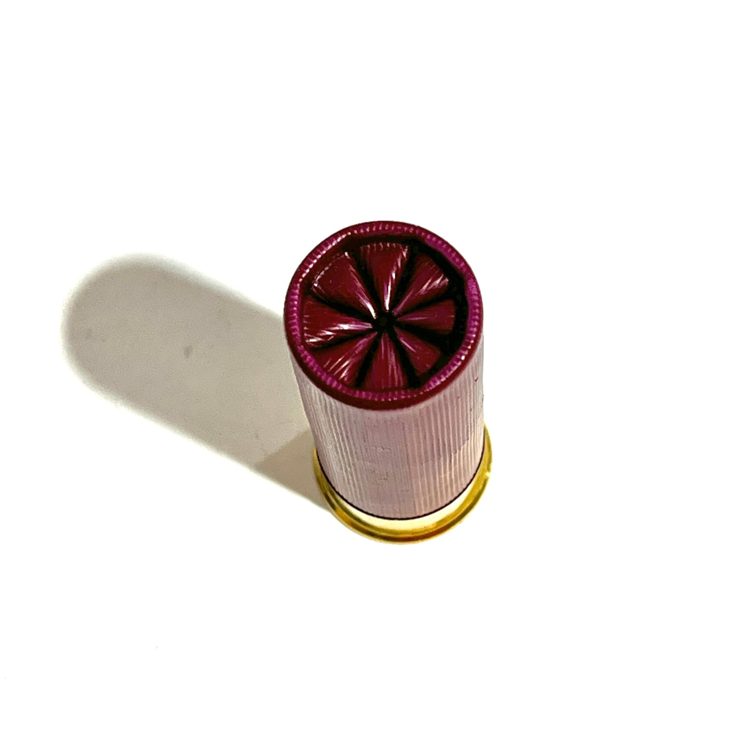 Top-down view of a single dark red 12 gauge dummy shotgun shell showing crimped star wad closure and gold brass base