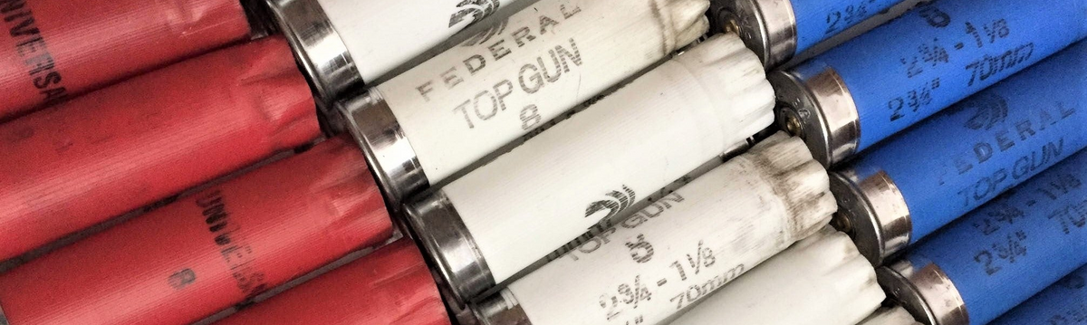 Empty Shotgun Shells & Spent Bullet Casings