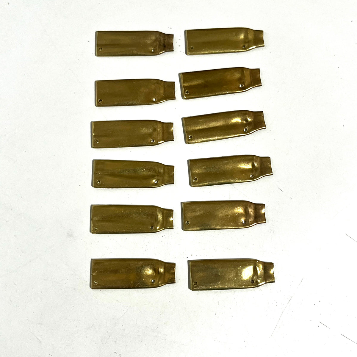 Flattened 223 Brass Bullets w/ Bullet and Plume Engraved Casings Qty 12