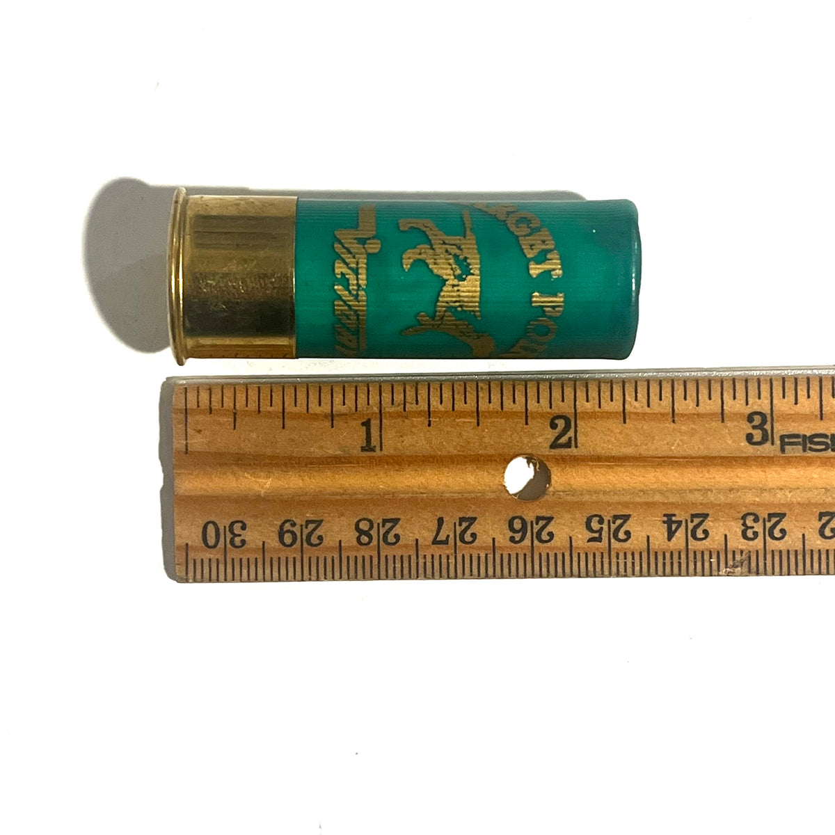 One green used shotgun hull with a rounded crimped end, measuring about 2 3/4 inches on a wooden ruler
