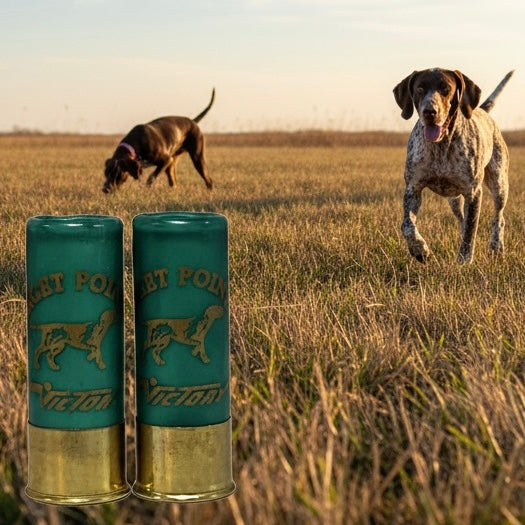 Two green empty shotgun shells standing in front of a grassy field with two German Shorthaired Pointer dogs