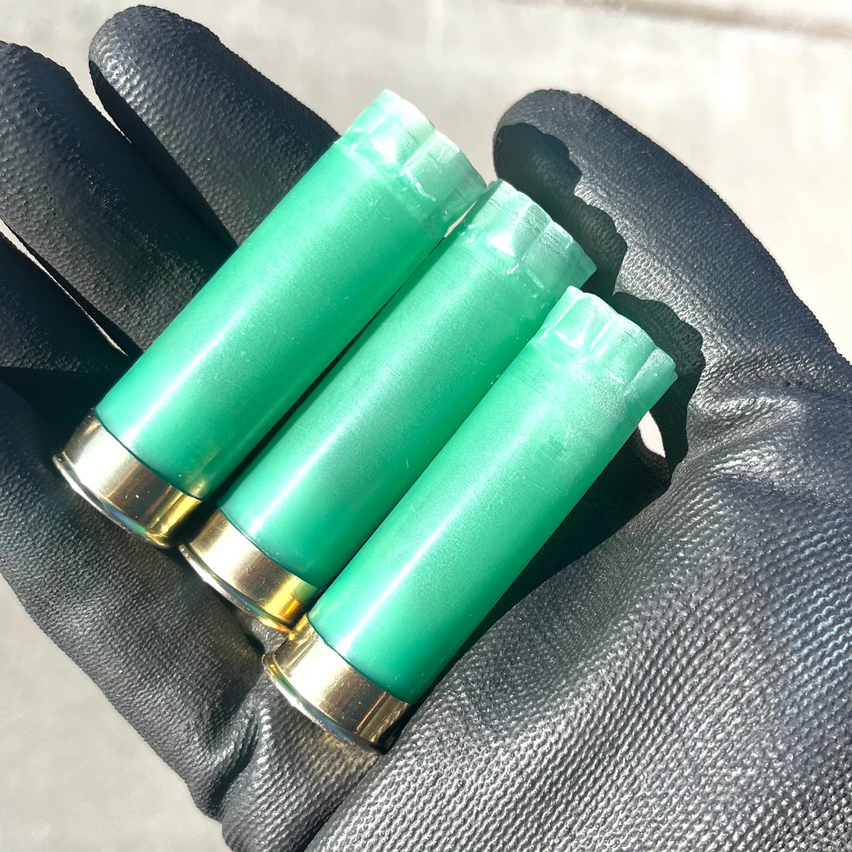 3 light green 12 gauge shotgun shell hulls with gold bases held in a gloved hand