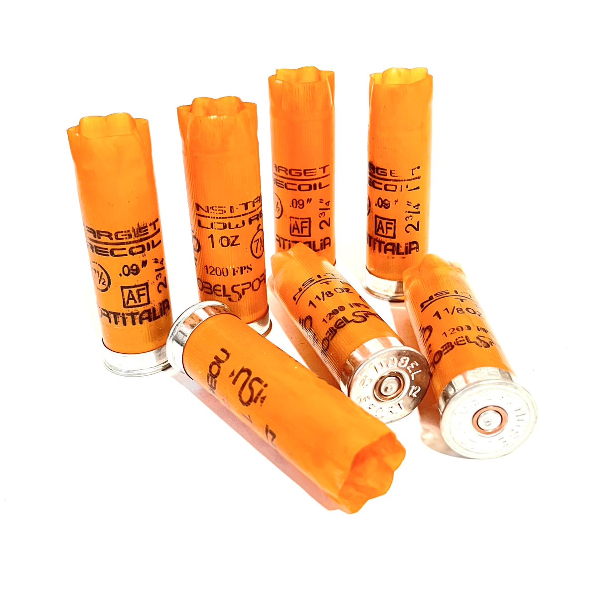 Seven light orange 12 gauge empty shotgun shells with silver bases arranged upright and on their sides on a white background
