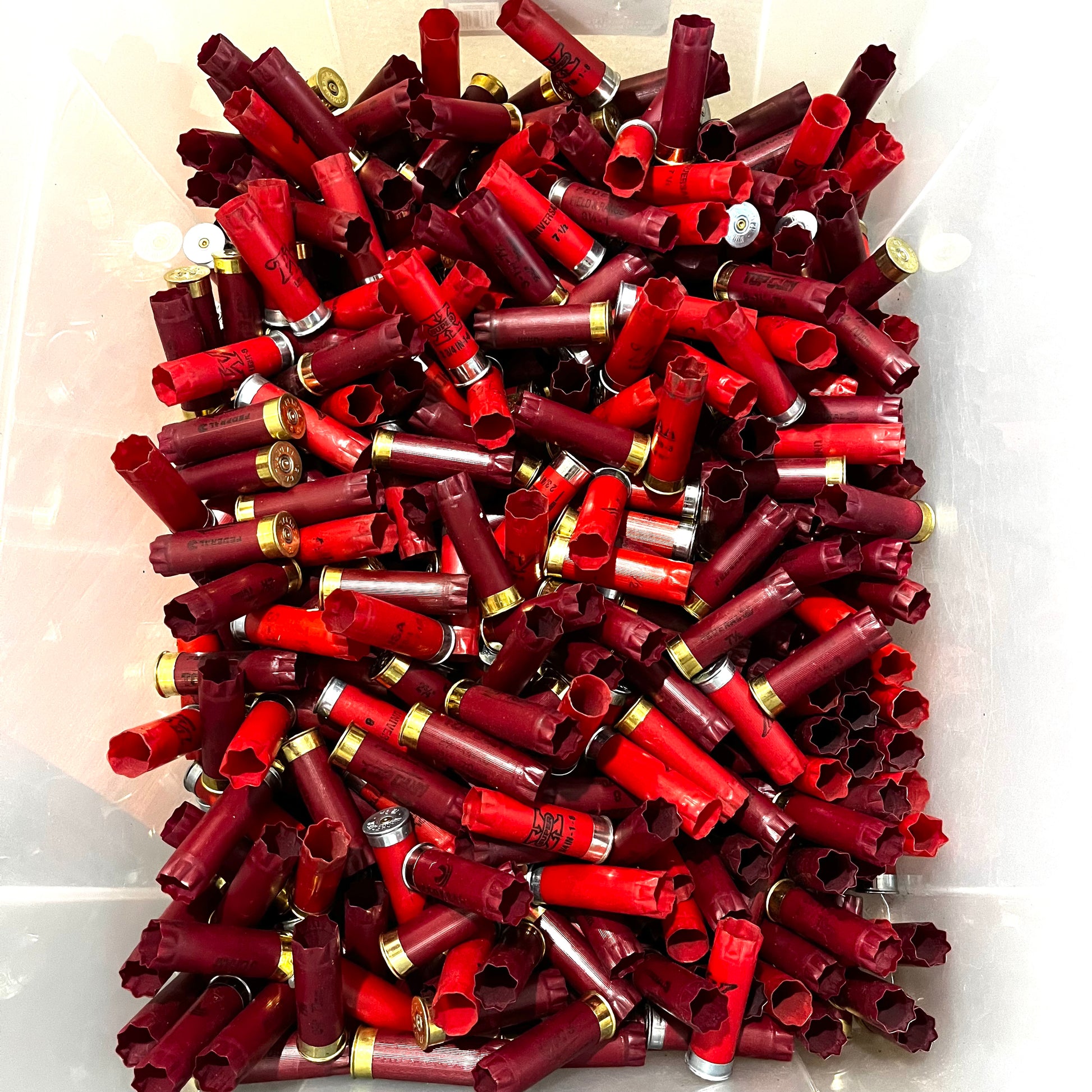 Large bin filled with mixed red and burgundy 12 gauge shotgun shells with gold and silver bases