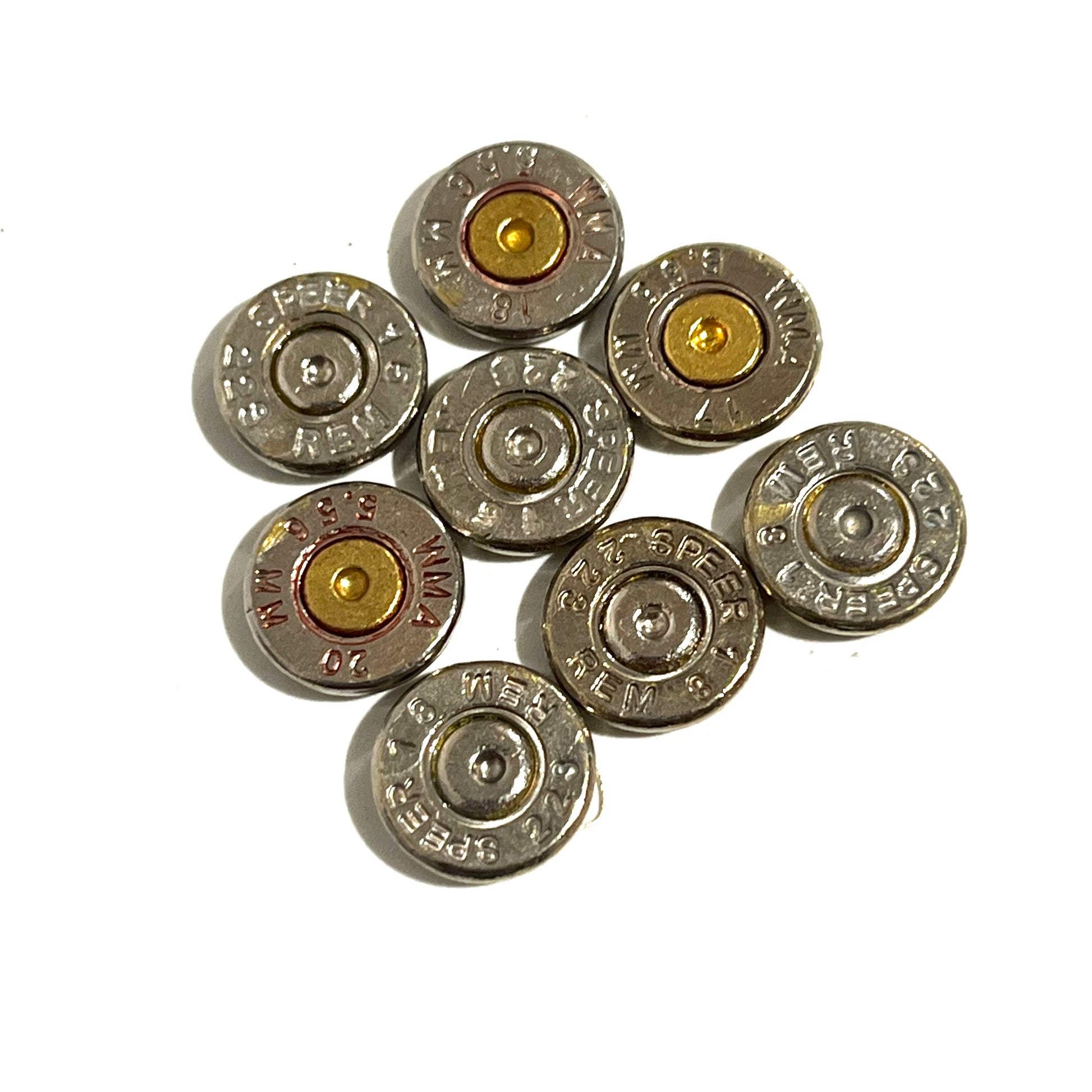 Eight polished nickel 223 5.56 bullet slices with Speer and Rem headstamp markings arranged on a white background
