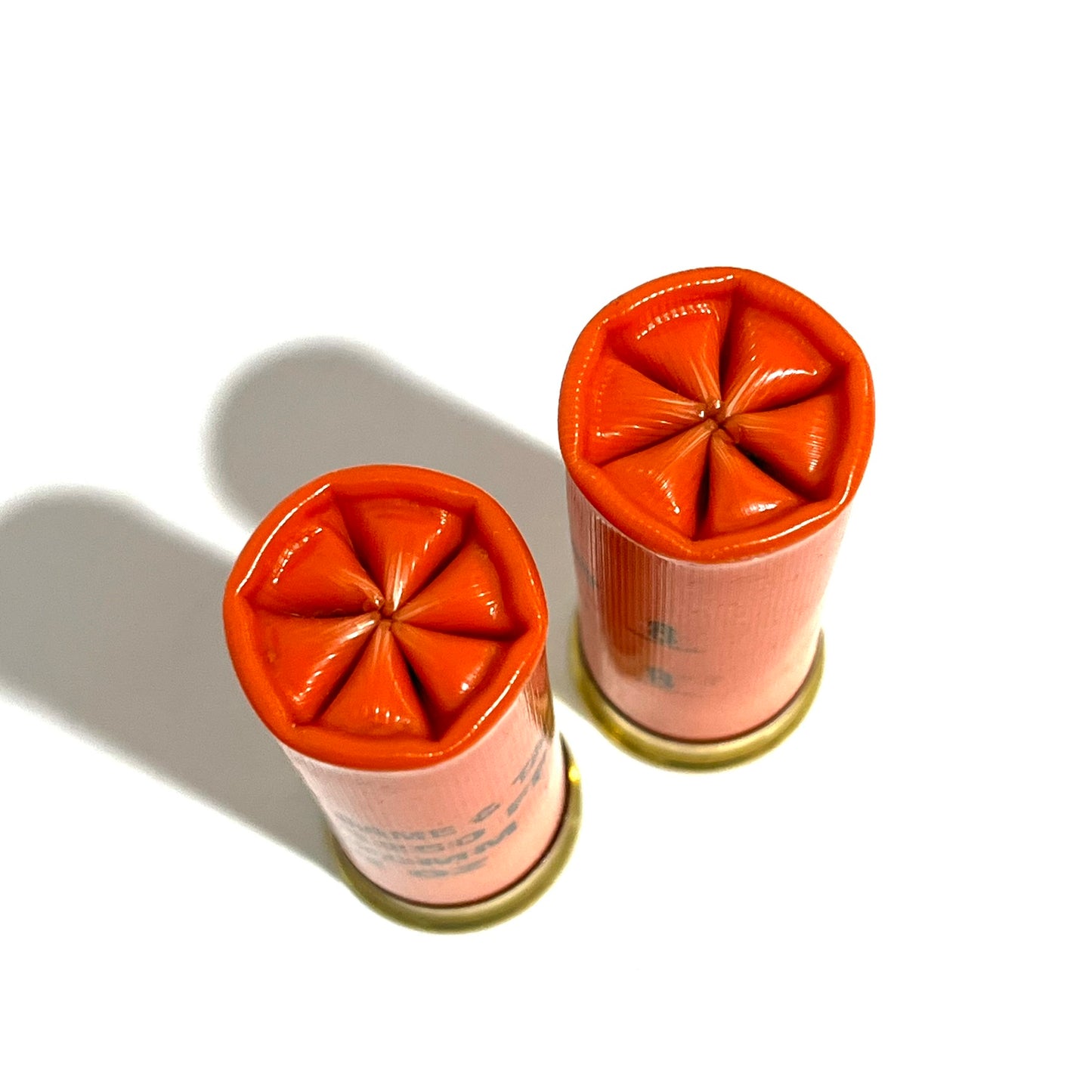 Two faded orange empty shotshells standing upright with crimped star ends and gold bases.
