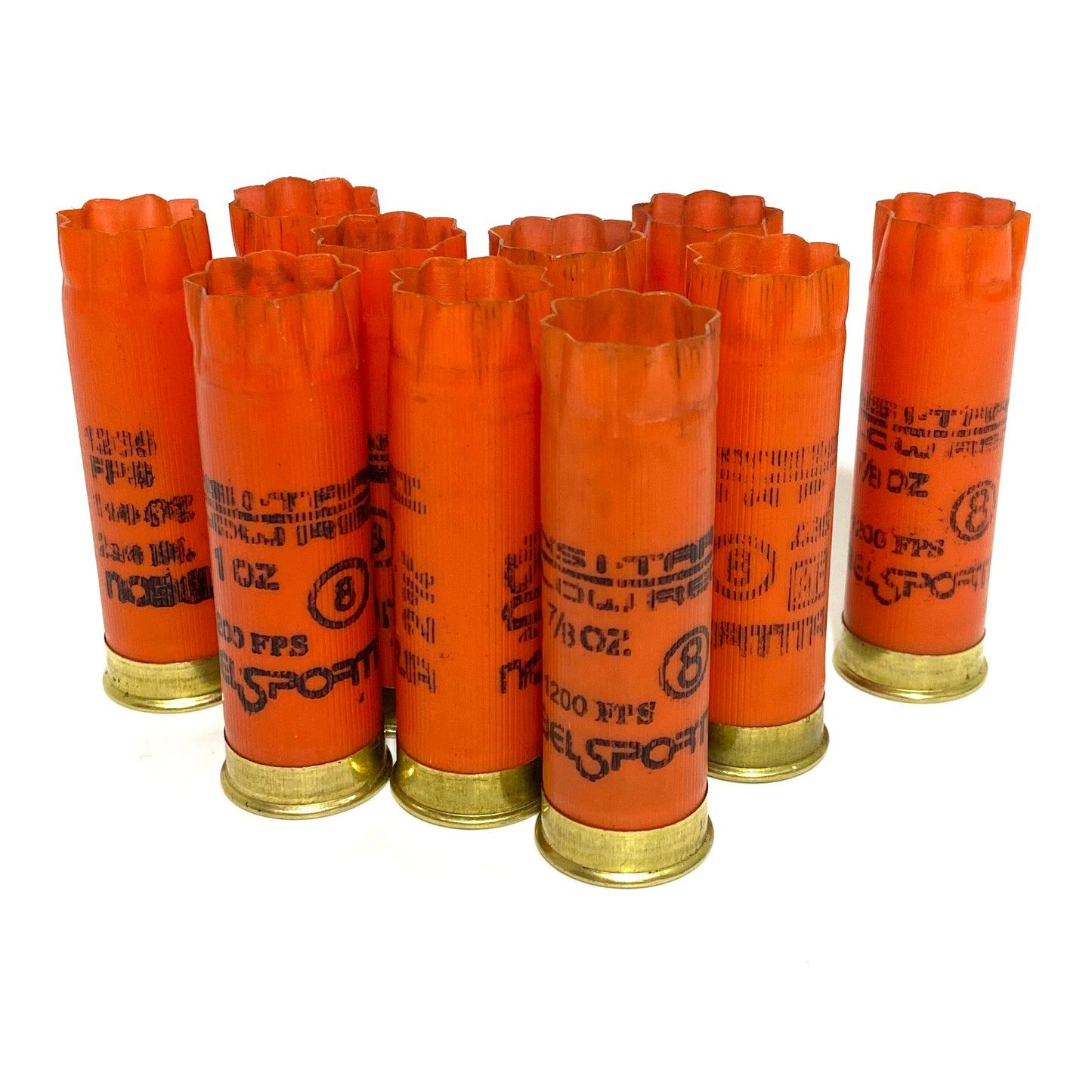 9 orange Nobel Sport shotgun shells with crimped open ends standing on a white background