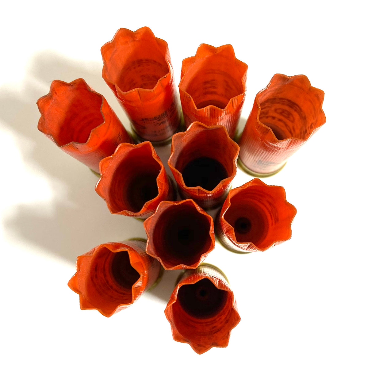 9 orange shotgun shells viewed from directly above showing open crimped ends