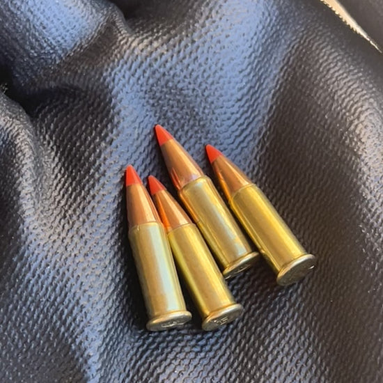 Dummy Rounds 22 Caliber Match Grade Bullet