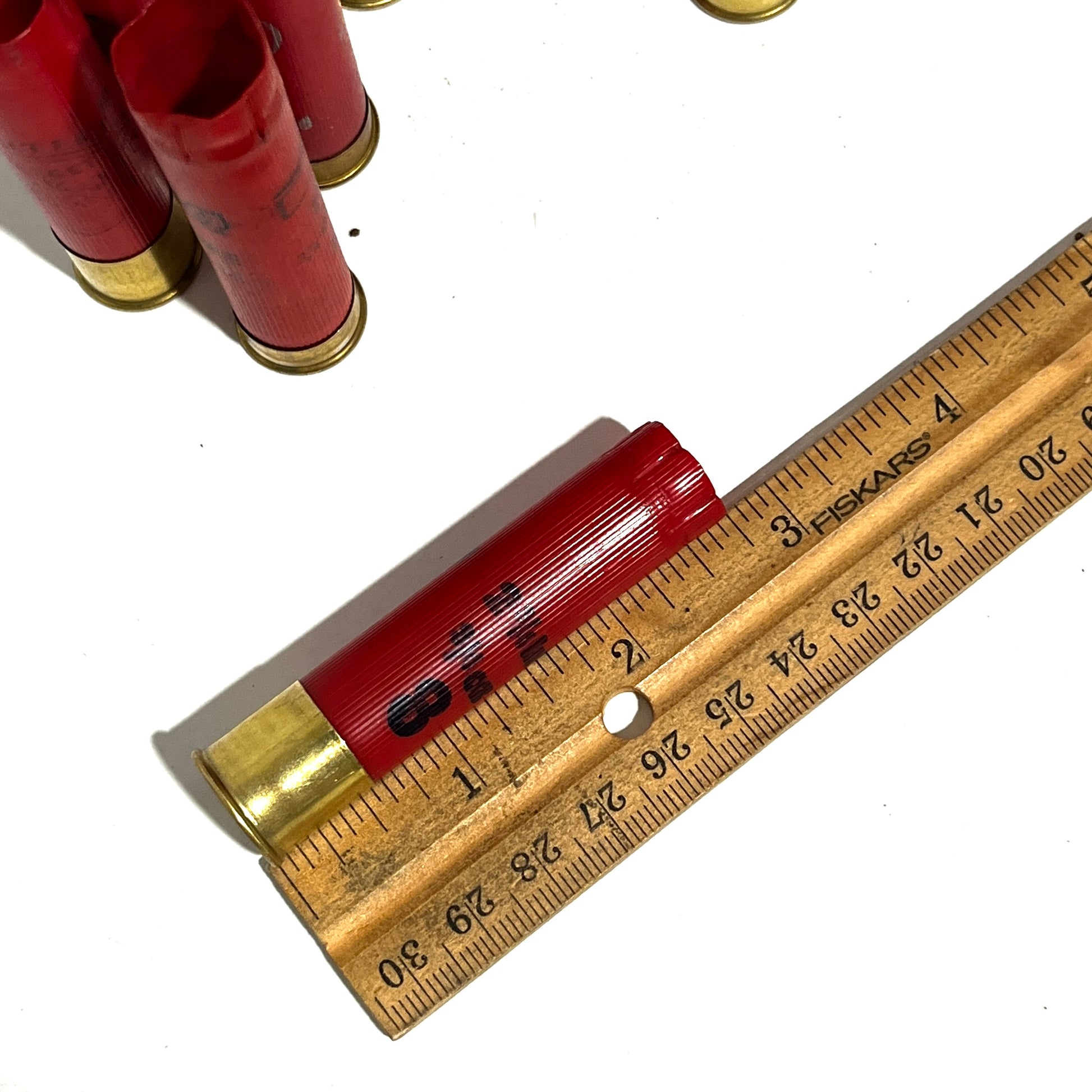 A red 28 gauge shotgun shell with a gold bottom marked 8 beside a ruler showing a length of about 2.5 inches