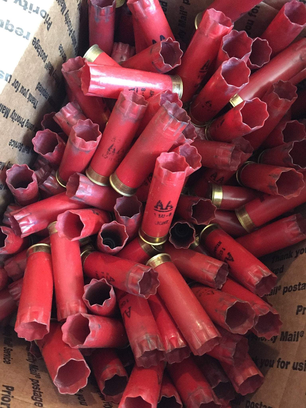 Bulk Red Winchester AA empty Hulls In A Shipping Box