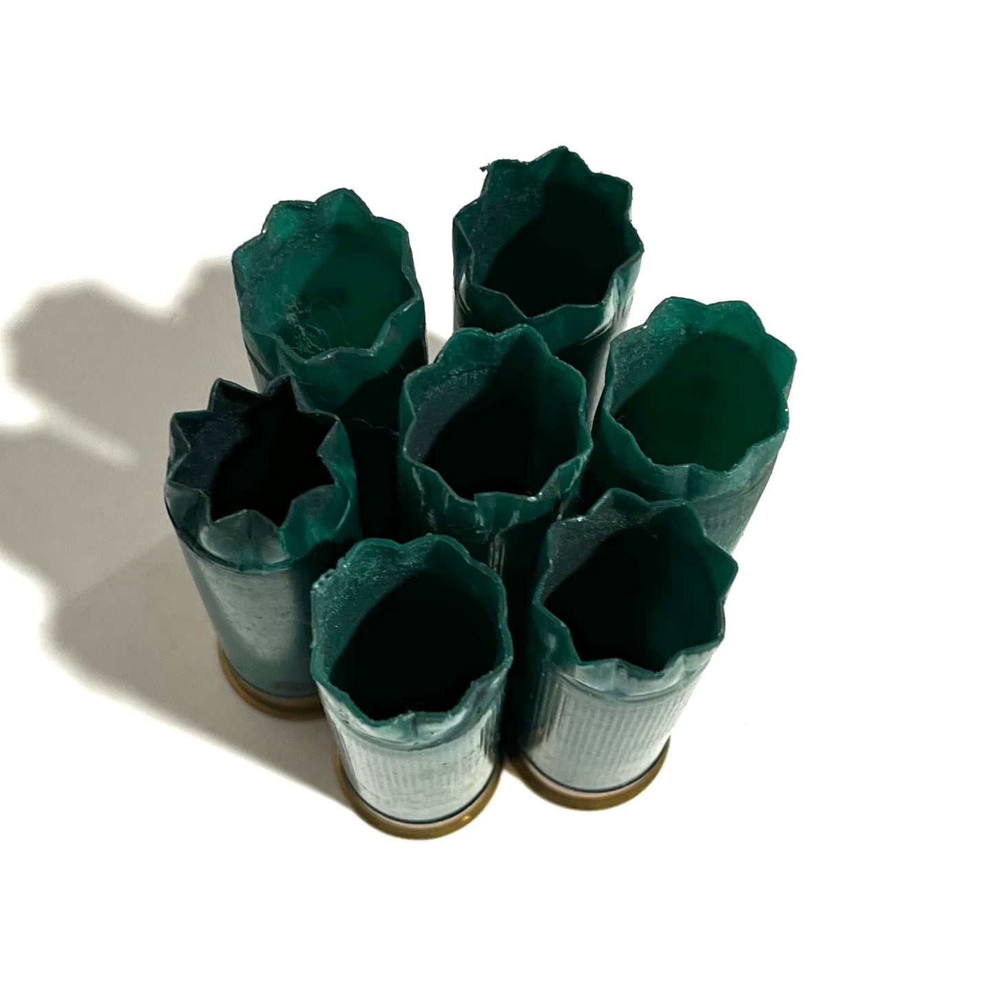 Seven dark green Remington 12 gauge empty shotgun shells viewed open-end up on a white background