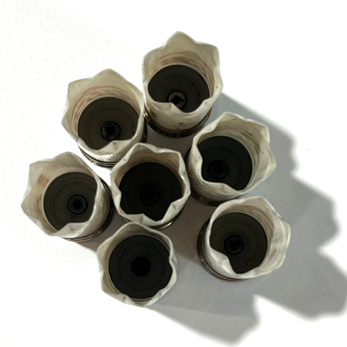 7 solid white shotgun shells with 6 star crimp, overhead view on white background