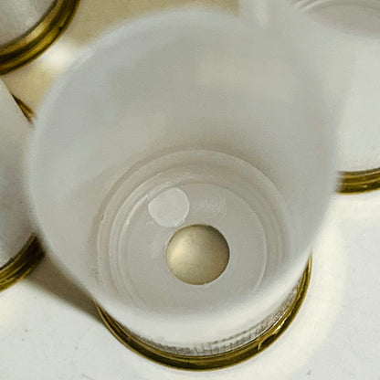 Close up view down inside a translucent never-fired shotgun shell, showing its clean interior base and open center hole