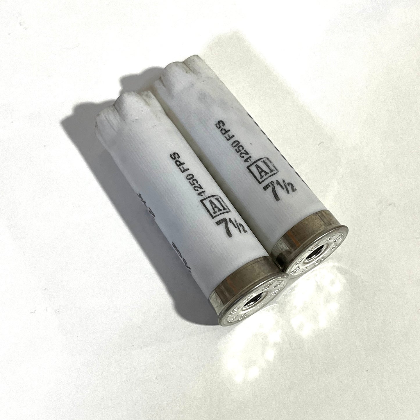 Two white 12 gauge empty shotgun shells lying on their sides showing silver bases with empty primer holes