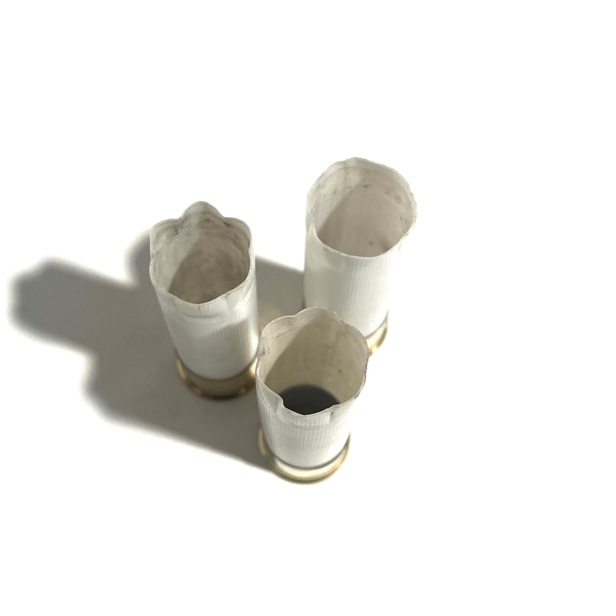 Three white 12 gauge blank shotgun shell hulls with brass bases standing upright showing empty open ends