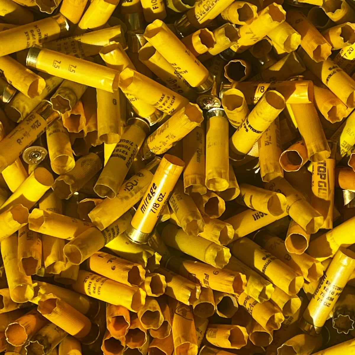 Close-up of a large pile of mixed yellow shotgun shell hulls with open mouths