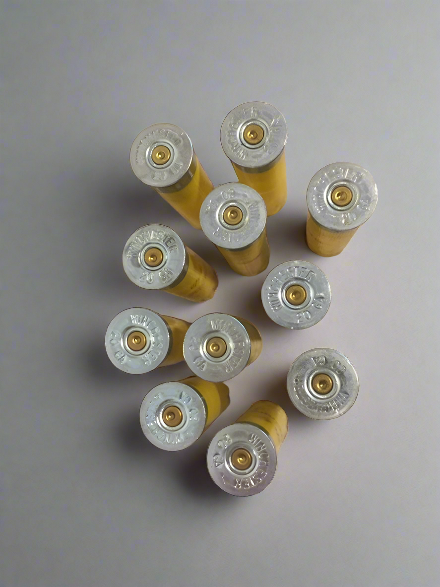 Ten yellow shotgun shells viewed from above showing silver headstamps