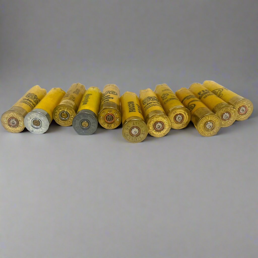 11 yellow shotgun shell hulls lying down showing their primers, mixed brass and nickel colors