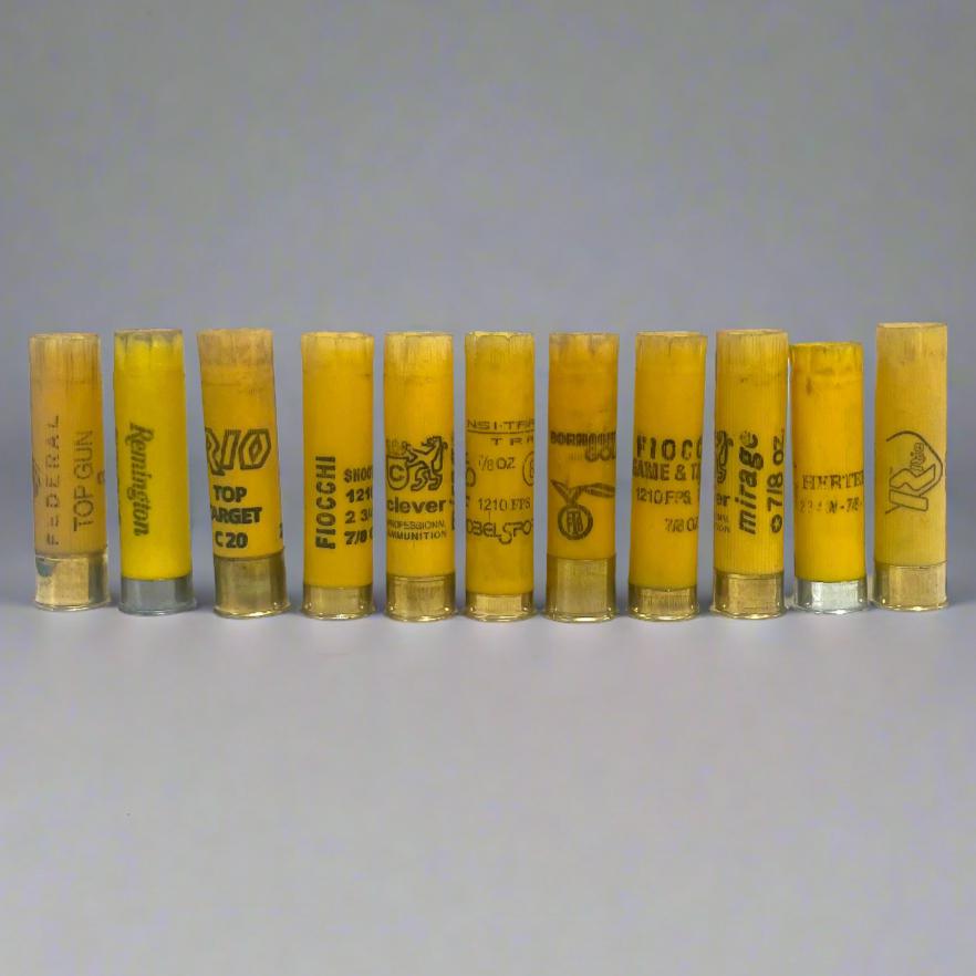11 yellow shotgun shell hulls from mixed brands including Federal, Remington, Rio, Fiocchi, and Winchester, standing upright in a row