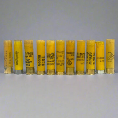 11 yellow shotgun shell hulls from mixed brands including Federal, Remington, Rio, Fiocchi, and Winchester, standing upright in a row