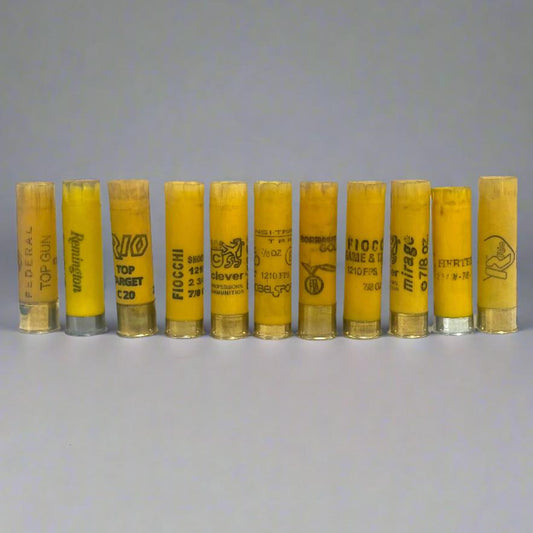 11 yellow shotgun shell hulls from mixed brands including Federal, Remington, Rio, Fiocchi, and Winchester, standing upright in a row