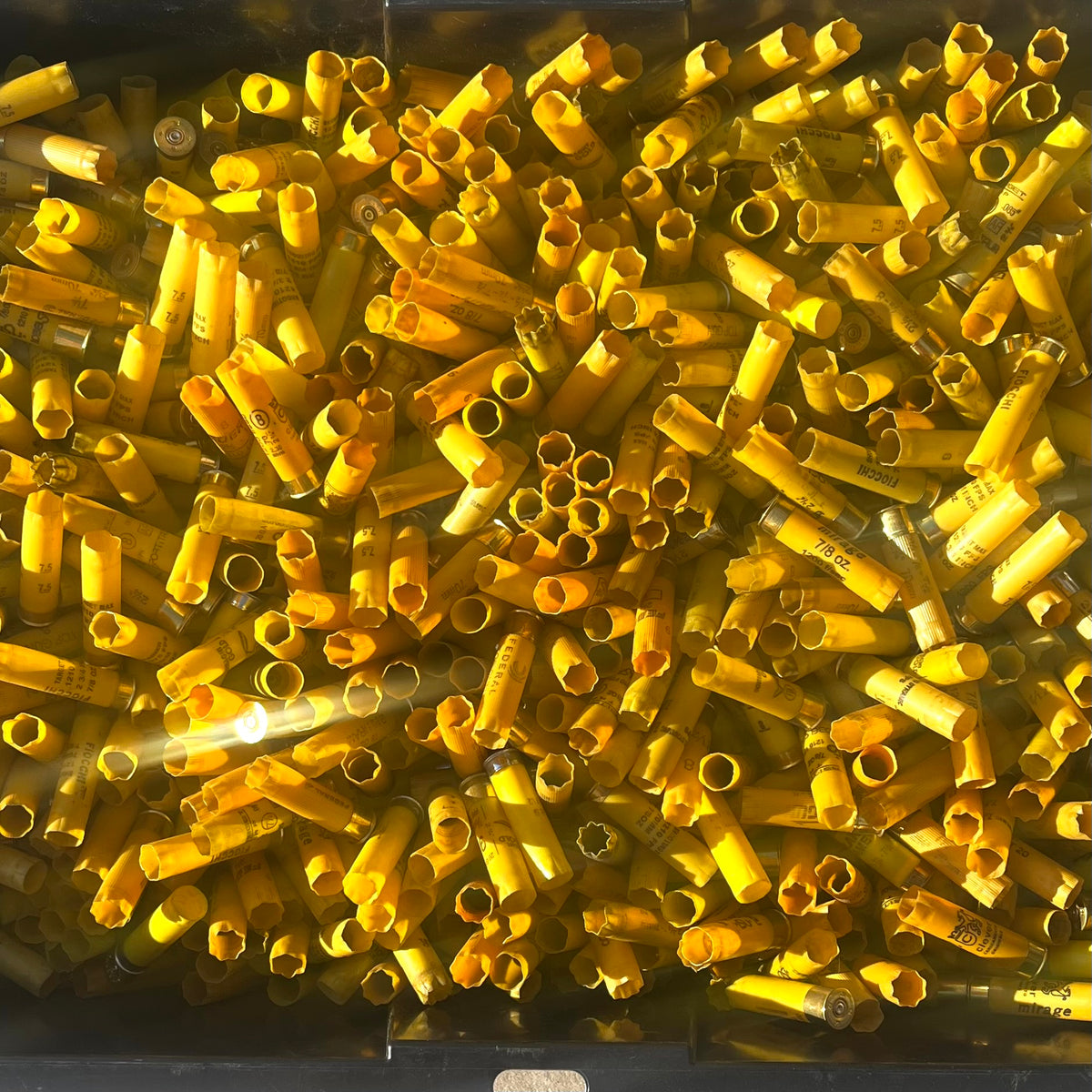 Overhead view of a large bin filled with mixed yellow shotgun shell hulls
