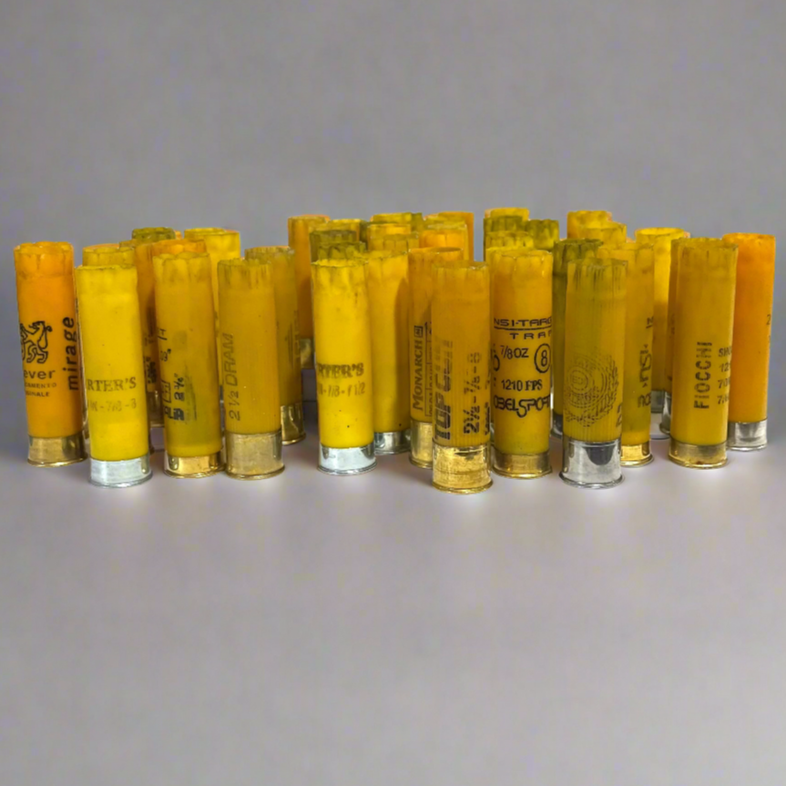Group of mixed yellow shotgun shell hulls from various brands standing upright