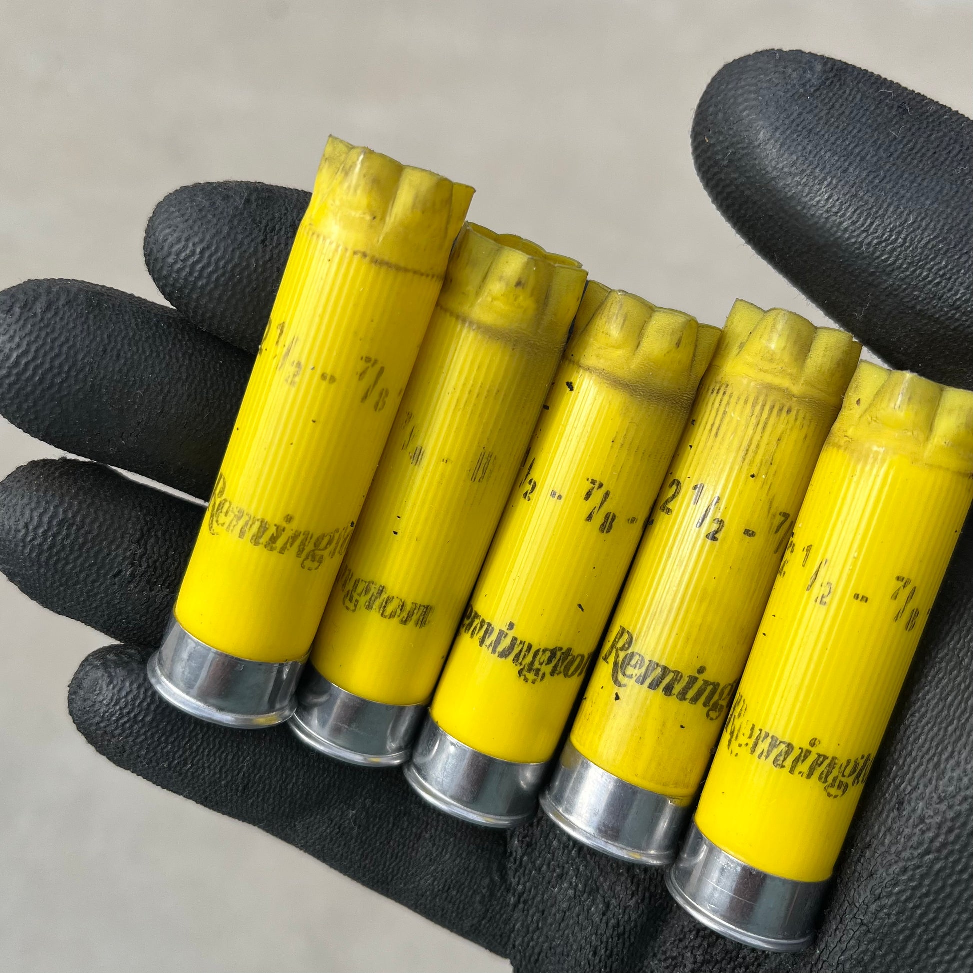 5 yellow Remington hulls held upright in a black-gloved hand