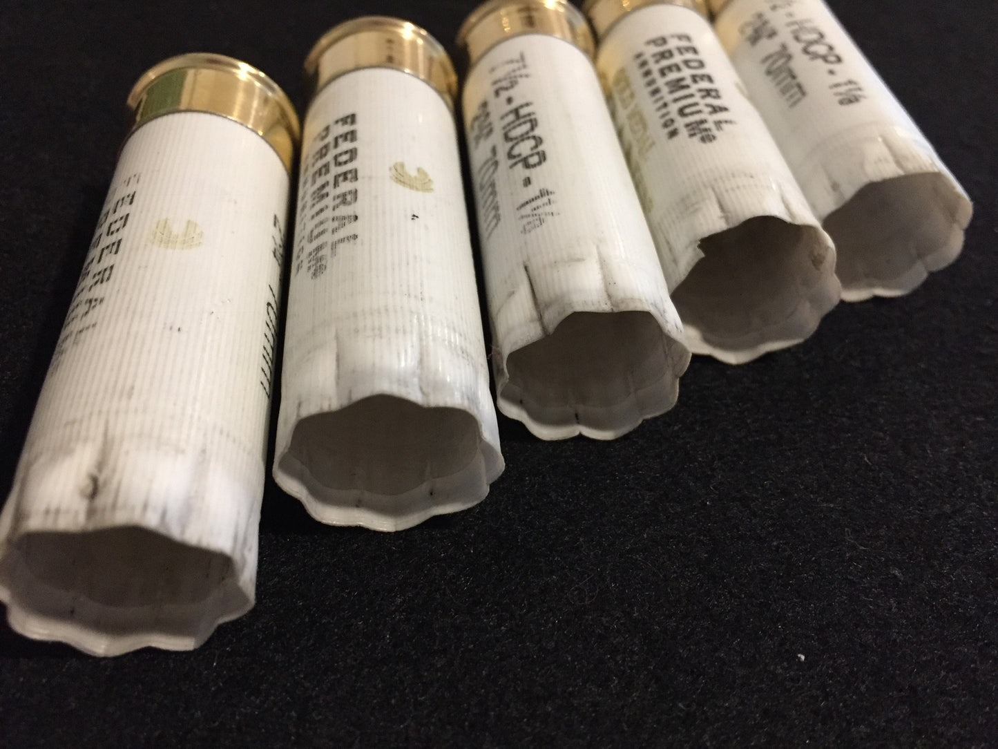 Five empty 12 gauge white shotgun shells lying on a dark surface, showing open tops and brass bases.