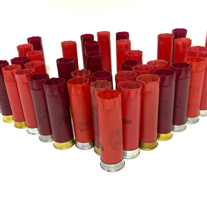 Many mixed red to burgundy spent shells standing upright in a semi-circle, arranged by color on a plain background.