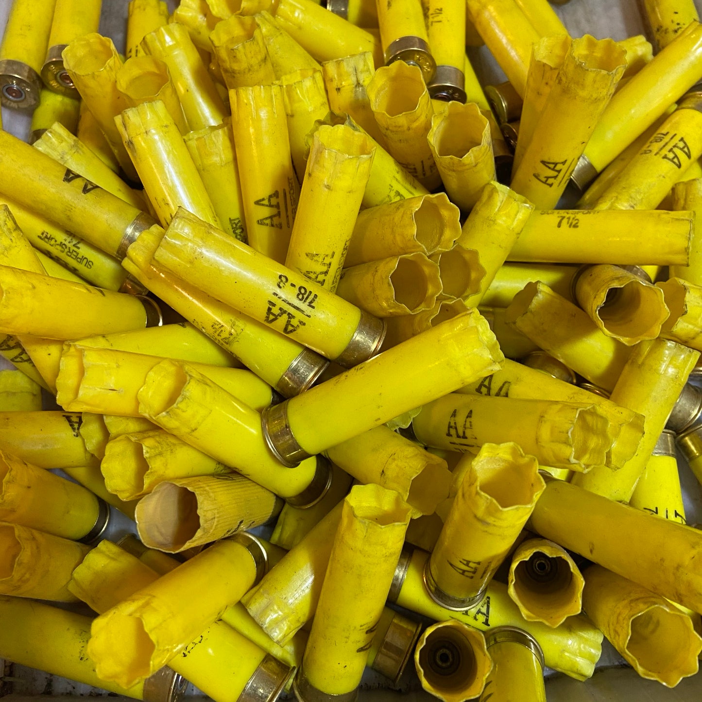 Bulk 20 Gauge WIN AA  20GA Hulls For Sale