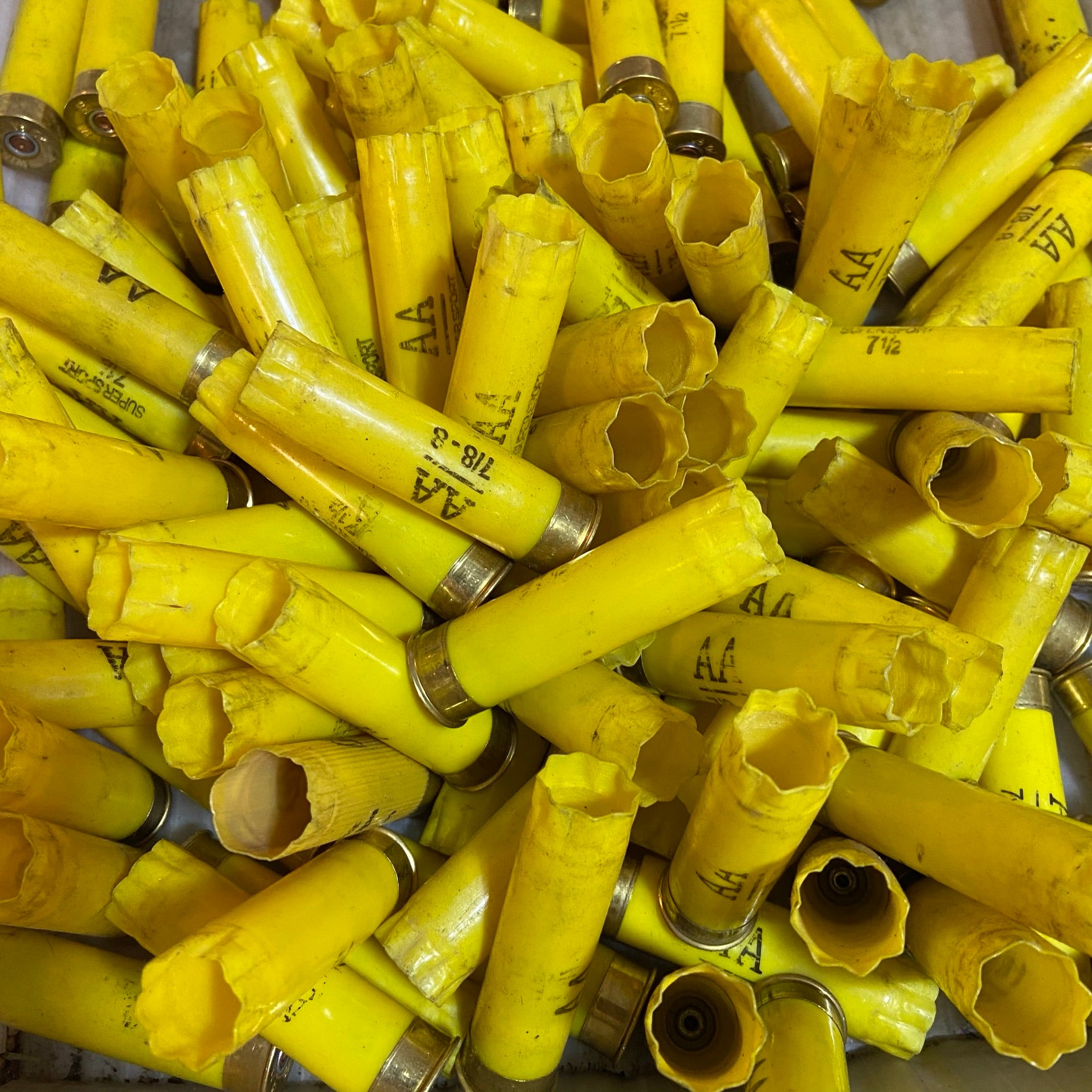Bulk 20 Gauge WIN AA  20GA Hulls For Sale
