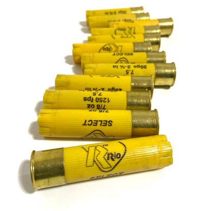 20 Gauge High Brass Hulls