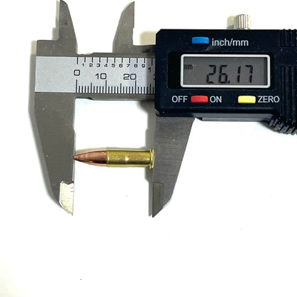 .22 Caliber Dummy Rounds With New Bullet