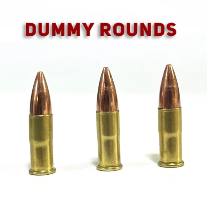 Dummy Rounds Polished .22 Brass Casings for Display - Free Shipping ...