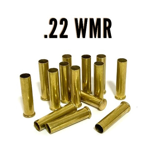 .22 WMR brass shells with several standing vertically and others resting in a scatter below TEXT .22 WMR.