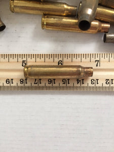 223 556 Brass Sized Dimensions