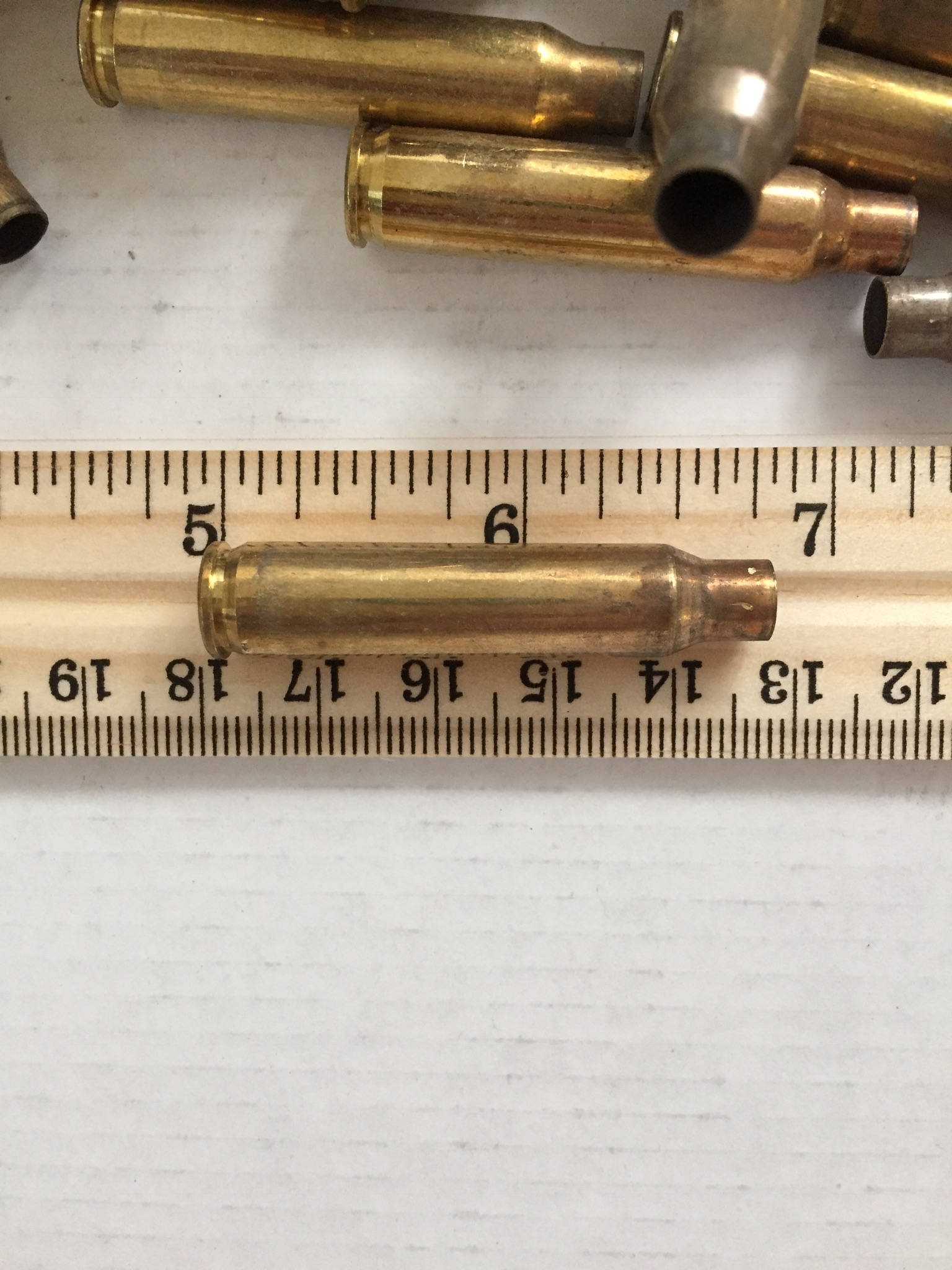 Size Dimension 223 Brass Shells