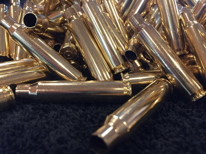 Polished Brass Casings 223