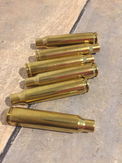 used 223 bullets