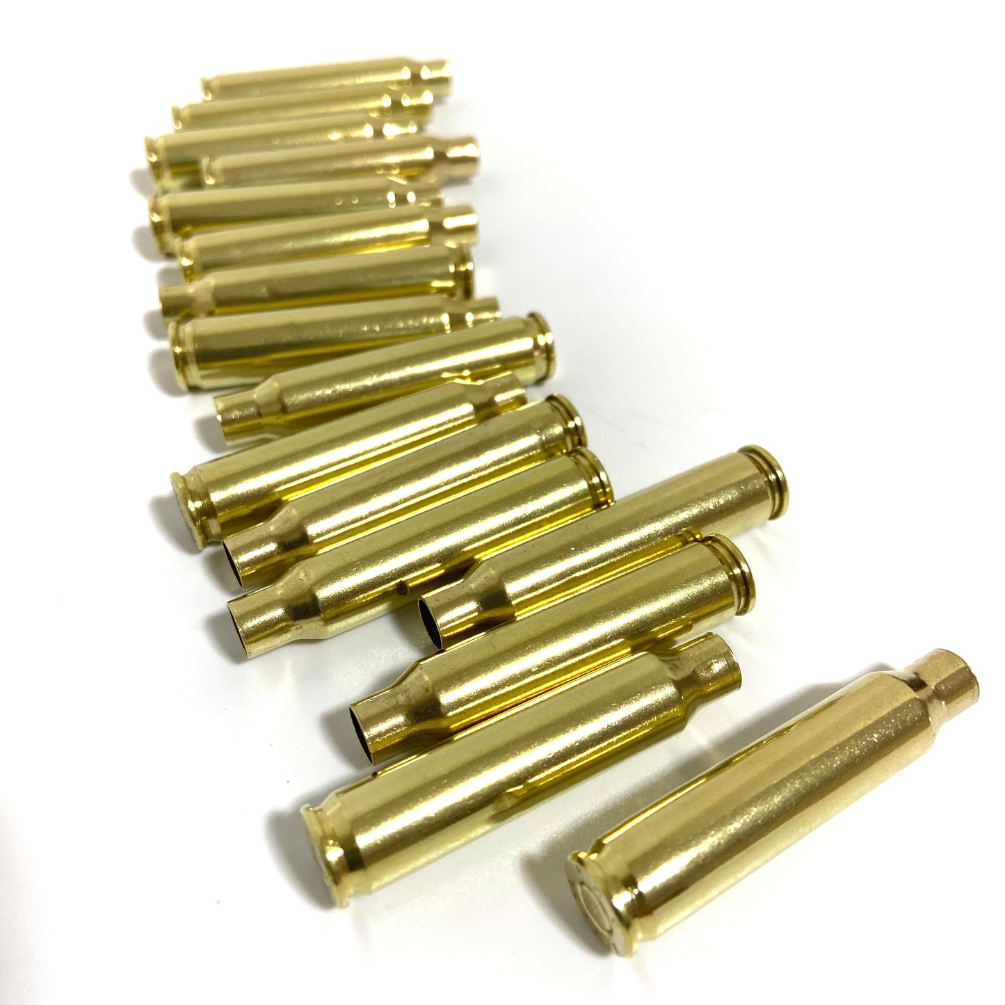 Rows of polished brass 223 5.56 empty spent bullet casings on a white background
