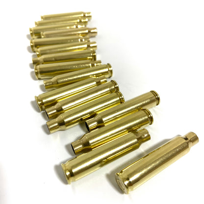 Rows of polished brass 223 5.56 empty spent bullet casings on a white background
