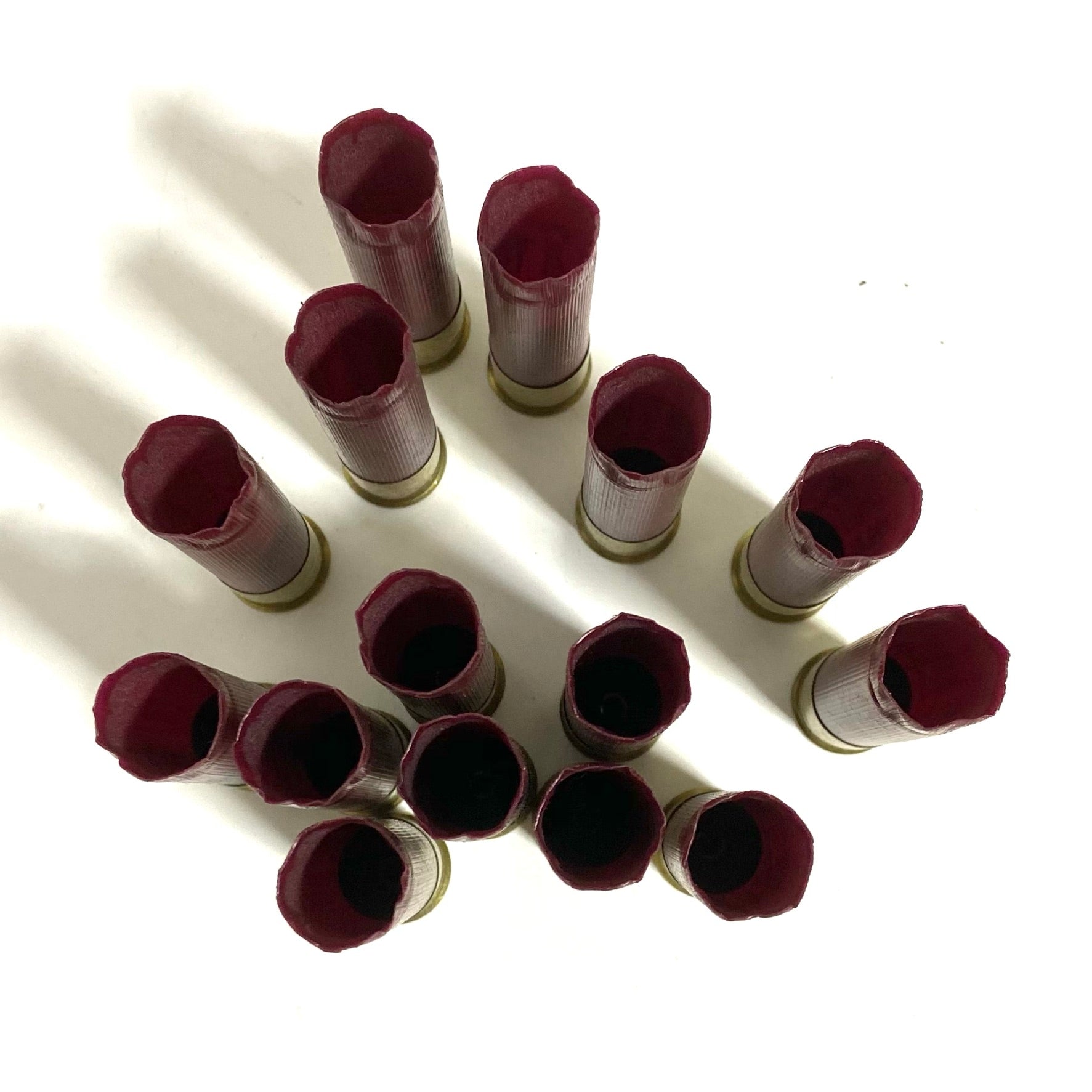 Fifteen 28 gauge dark red casings with open crimped mouths facing up in a fanned cluster