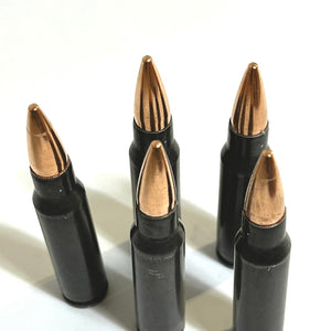 308 Winchester Snap Caps