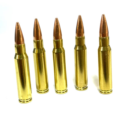Five brass .308 prop cartridges  standing upright in a row of varying heights on white background