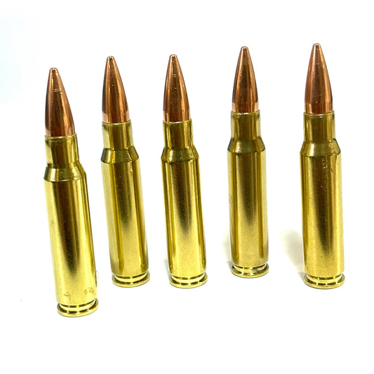 Five brass .308 prop cartridges  standing upright in a row of varying heights on white background