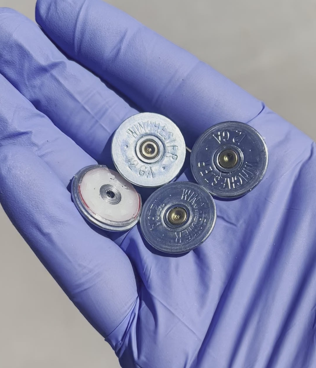 Shotgun Shell Winchester Bullet Slices