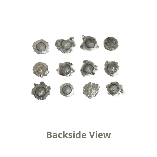 Backside View Bullet Slices